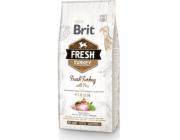 Suché krmivo pro psy Brit Fresh Turkey, 2,5 kg