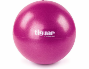 Cvičební míč Tiguar Easyball 25 cm švestka