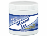 MANE  N TAIL Mineral Ice gel 454 ml