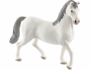 Schleich Lipizzaner Hengst