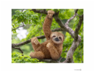 Schleich Wild Life         14793 Sloth