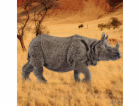 Schleich Wild Life         14816 Indian Rhinoceros