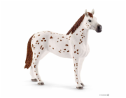 Schleich 42433 Set appalosští koně a tréninkové příslušenstí