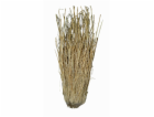 Lucky Reptile Grass Bushes 25-40 cm