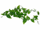 Lucky Reptile Jungle Vine Ivy Vine cca 200 cm