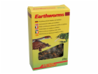 Lucky Reptile Earthworms 10g