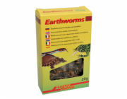 Lucky Reptile Earthworms 10g