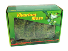 Lucky Reptile Vivarium Moss 150g