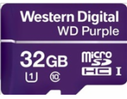 Western Digital WD MicroSDHC Class 10 32GB WDD032G1P0C