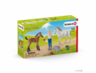 Schleich Farm World       42486 Vet visiting Mare and Foal