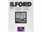 1x 50 Ilford MG RC DL 44M  24x30