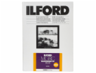 1x100 Ilford MG RC DL 25M  10x15 10,5x14,8