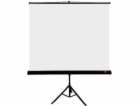 Avtek Tripod Standart 175 projection screen 1:1