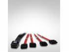 Inter-Tech kabel SFF 8087 > 4x SATA