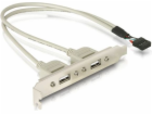 DeLOCK kryt slotu USB 2.0, 10pin header > 2x zásuvka USB-A