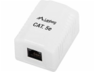 Lanberg SURFACE SOCKET CAT.5E (OU5-0001-W)