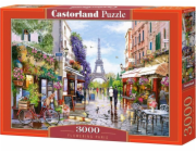 Castorland Puzzle 3000 Fowering Paris CASTOR