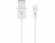 USB 2.0 Adapterkabel, USB-A Stecker > Lightning Stecker