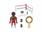 Playmobil šampion v boxu