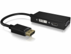 RaidSonic DisplayPort AV adaptér - HDMI - D-Sub (VGA) - D...