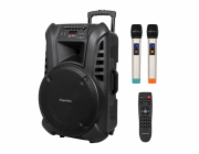 Active Speaker Cabinet (with 2 wireless microphones UHF  SD  Bluetooth  FM  USB) 60 Watt