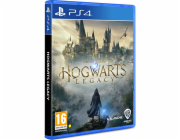 PS4 - Hogwarts Legacy