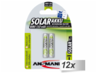 12x2 Ansmann maxE NiMH Akku Micro AAA 550 mAh SOLAR