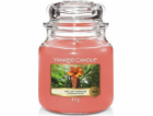 Svíčka ve skleněné dóze Yankee Candle, Poslední ráj, 410 g