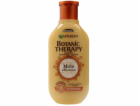 Garnier Botanic Therapy Honey & Propolis Hair Shampoo vel...