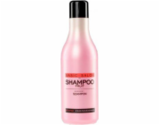 Stapiz Professional Fruit Shampoo Ovocný šampon na vlasy 1000ml