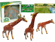 Import figurky Leantoys Giraffe Family + pozadí Afrika (5383)