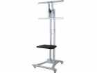 Neomounts PLASMA-M1800E / Mobile Flat Screen Floor Stand ...