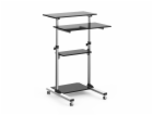 TECHLY 102833 Universal presentation notebook trolley wit...