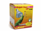 Lucky Reptile Bright Sun Bird 70W