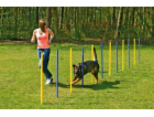 Karlie Agility slalom 12 x 100 cm