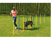 Karlie Agility slalom 12 x 100 cm