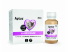 Aptus Amber Rinse 4x60ml