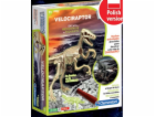 Fosilie velociraptorů