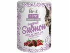 Brit Care Cat Snack Superfruits Salmon  100g pamlsky pro ...