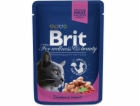 Brit Premium Cat sáčky s lososem a pstruhem 100g