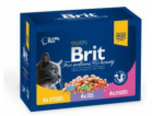 Brit Premium Cat sáčky Family Tale Drůbež a ryby 12x100g