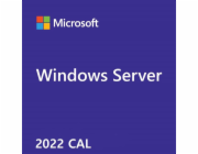 MS 1x Windows Server CAL 2022 1pk DSP OEI 5 Clt Device CAL (PL)