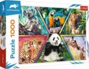 Trefl Puzzle 1 000 dílků Animal Kingdom Animal Planet