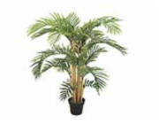 Kentia palma, 140 cm