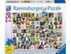 2D puzzle velkoformátové 99 roztomilých psů 750 dílků