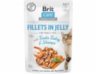 Brit CARE CAT sáček FJ TENDER TUREC & SHRIMPS /24 85g