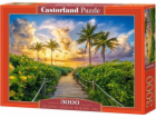 Puzzle 3000 Colorphul Sunrise v Miami, USA