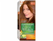 Garnier Color Naturals Omalovací krém č. 6.41 Zlatý jantar