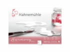 Hahnemühle Harmony Watercolour cold pressed 12 Sheets 300...