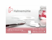 Hahnemühle Harmony Watercolour cold pressed 12 Sheets 300 g  A4